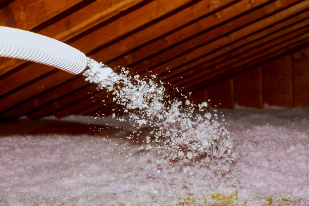 Best Eco-Friendly Insulation in Glenville, CT